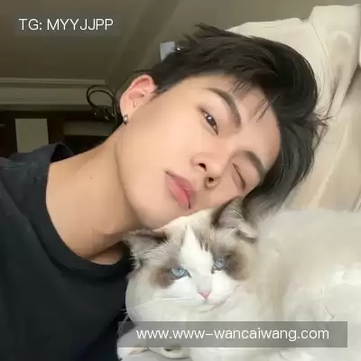 石芯笛